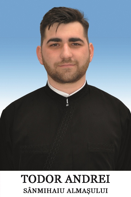 todor andrei